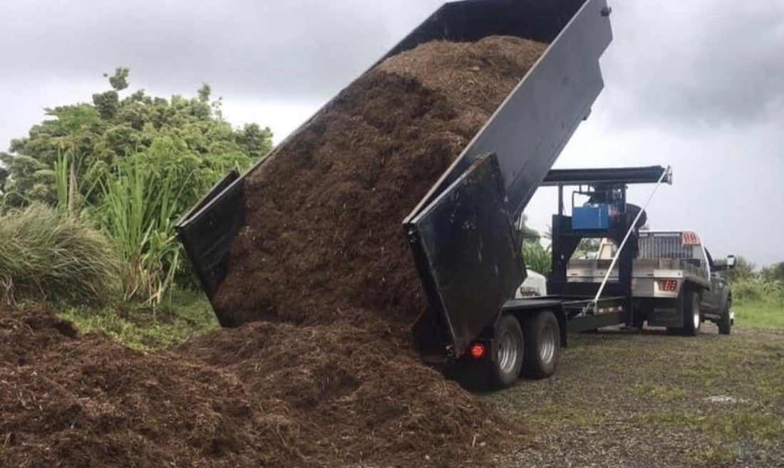 Big Island Disposal Service